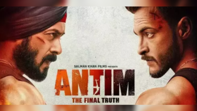 Photo of Antim: The Final Truth Movie Review
