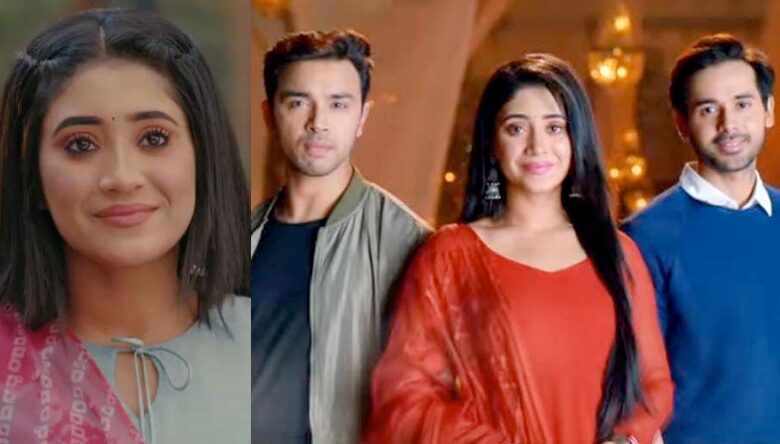Why did the show Balika Vadhu 2 suddenly stop on TV?  'Anandi' Shivangi Joshi reveals real reason - shivangi joshi reveals real reason of balika vadhu 2 went off air