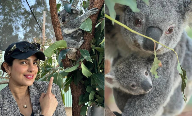 Priyanka Chopra Jonas Delighted By Koala Named After Her In Australia | People News